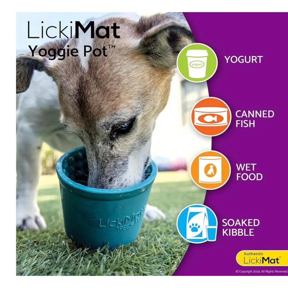 Yoggie Pot Blue Dog Bowl